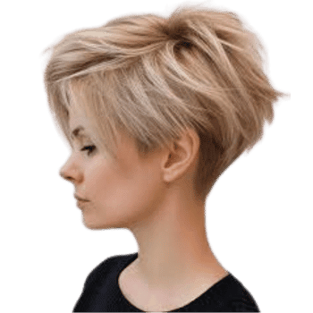 Pixie Bob-Learn Bob Haircut Names