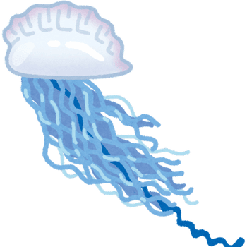 Portuguese Man O' War