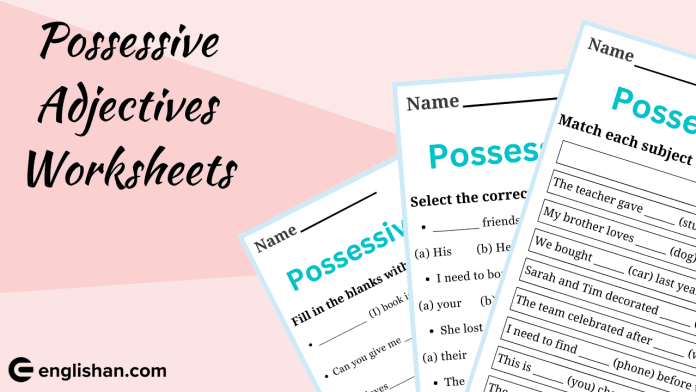 Possessive Adjectives Worksheets and Exercises