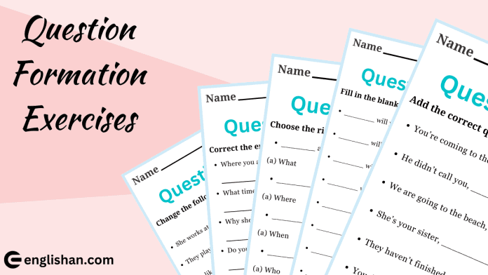 Question Formation Exercises