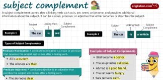 Subject Complements with Examples