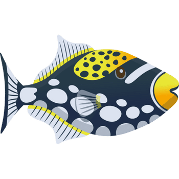 Triggerfish