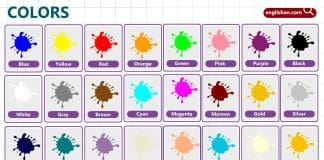 Colors Names for Kids