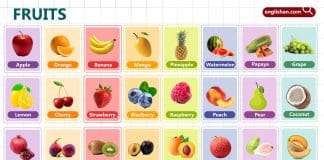 Fruits Names for Kids with visuals