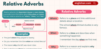 Relative Adverbs in English