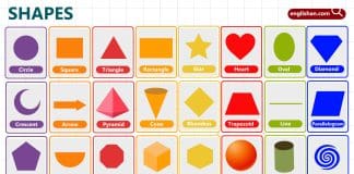 Shapes for Kids