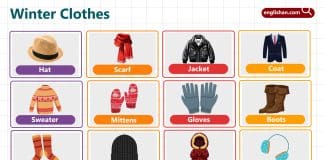 Winter Clothes Names for Kids