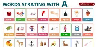 Words Starting with A to Help Kids Build Vocabulary