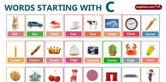 Words Starting with Letter C