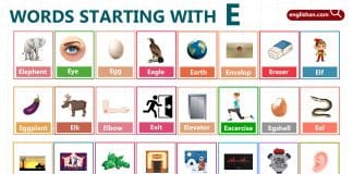 Words Starting with Letter E