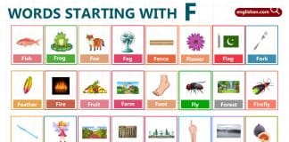 Words Starting with Letter F