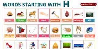 Words Starting with Letter H