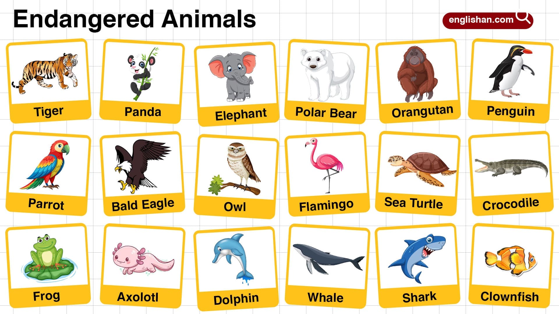 Endangered Animals For Kids Protect Our Planet S Wildlife Endangered Animals For Kids Protect Our Planet S Wildlife