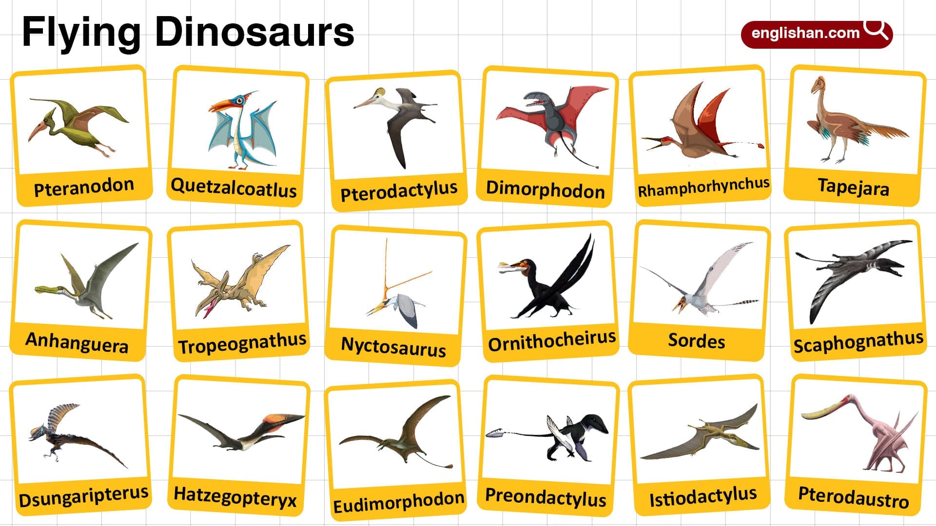 Top Flying Dinosaurs Names Easy Learning for Kids