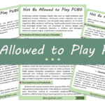 Students Should Not Be Allowed to Play PUBG Essay – 10 Lines, 250 Words, and 500 Words