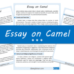 Camel Essay – 10 Lines, 250 Words, and 500 Words