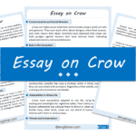 Crow Essay – 10 Lines, 250 Words, and 500 Words