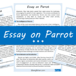 Parrot Essay – 10 Lines, 250 Words, and 500 Words