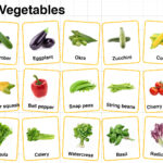 Summer Vegetables Names in English with their Pictures