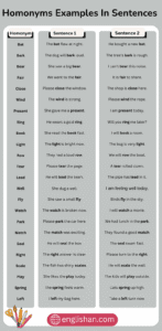 100 Useful Homonyms Examples Sentences List