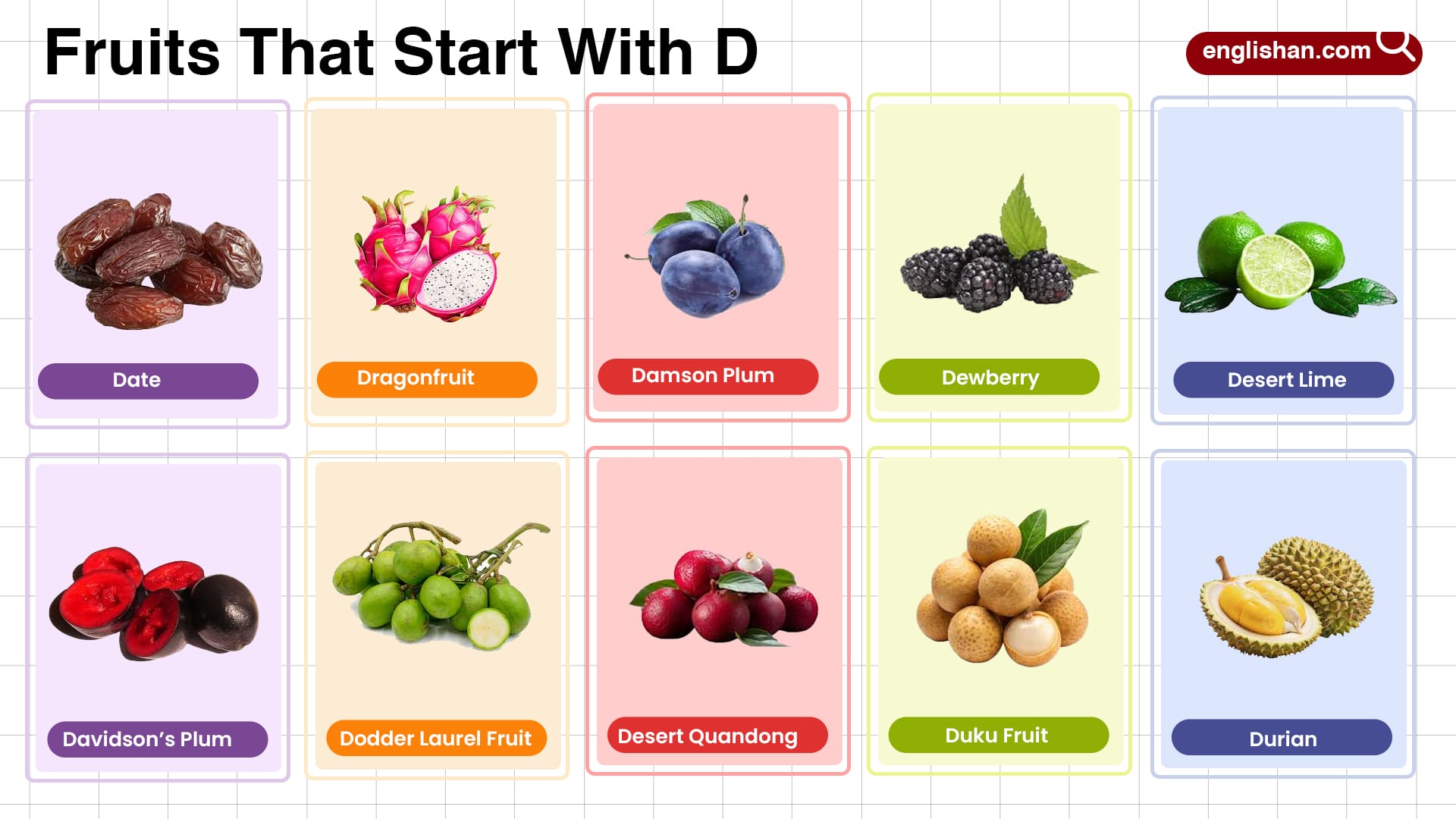 40-fruits-that-start-with-d-common-rare-tropical
