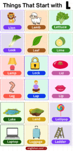 330 Things That Start with L – Funny and Positive Words List