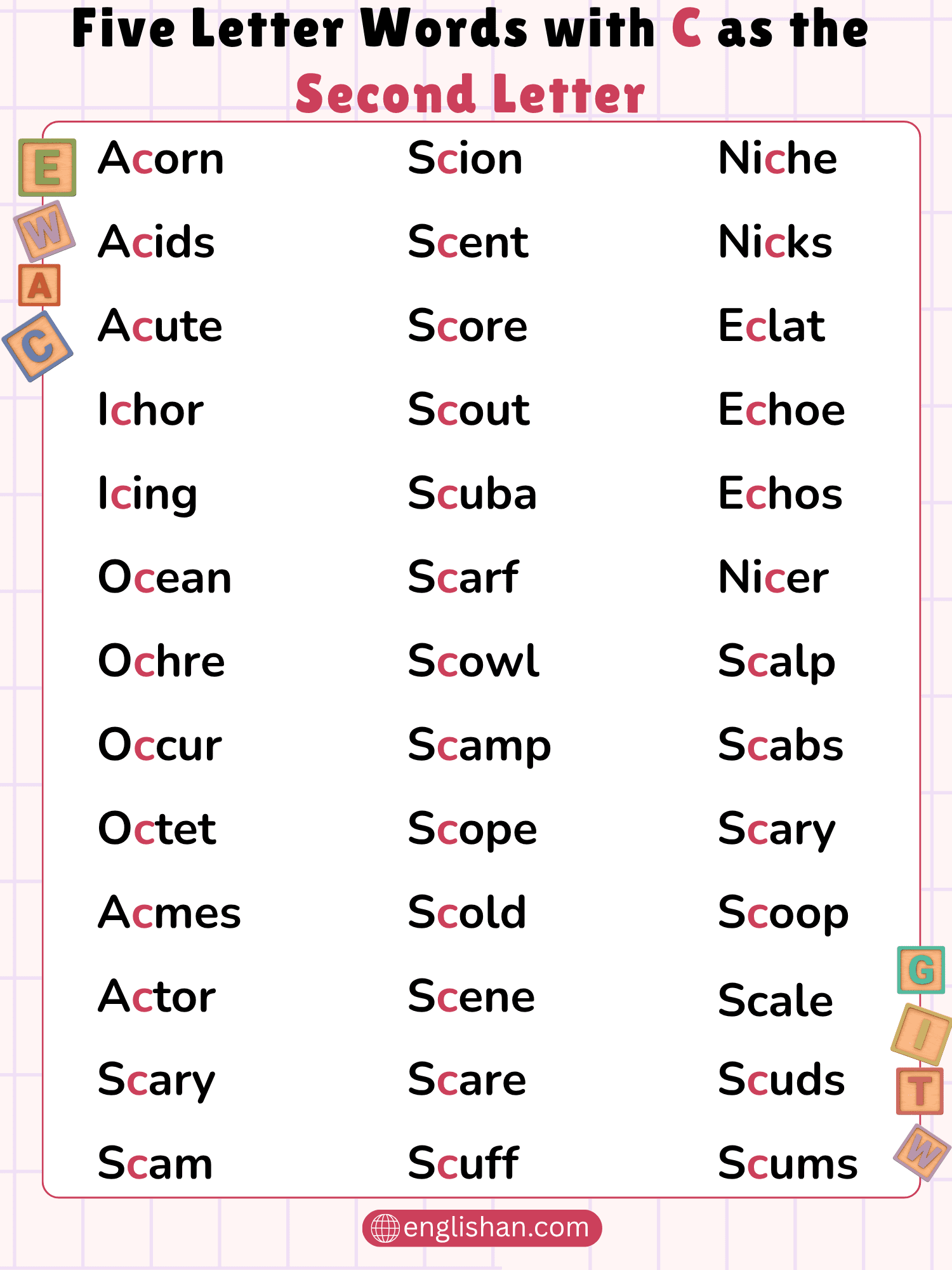 500 Five Letter Words with C as the Second Letter in English