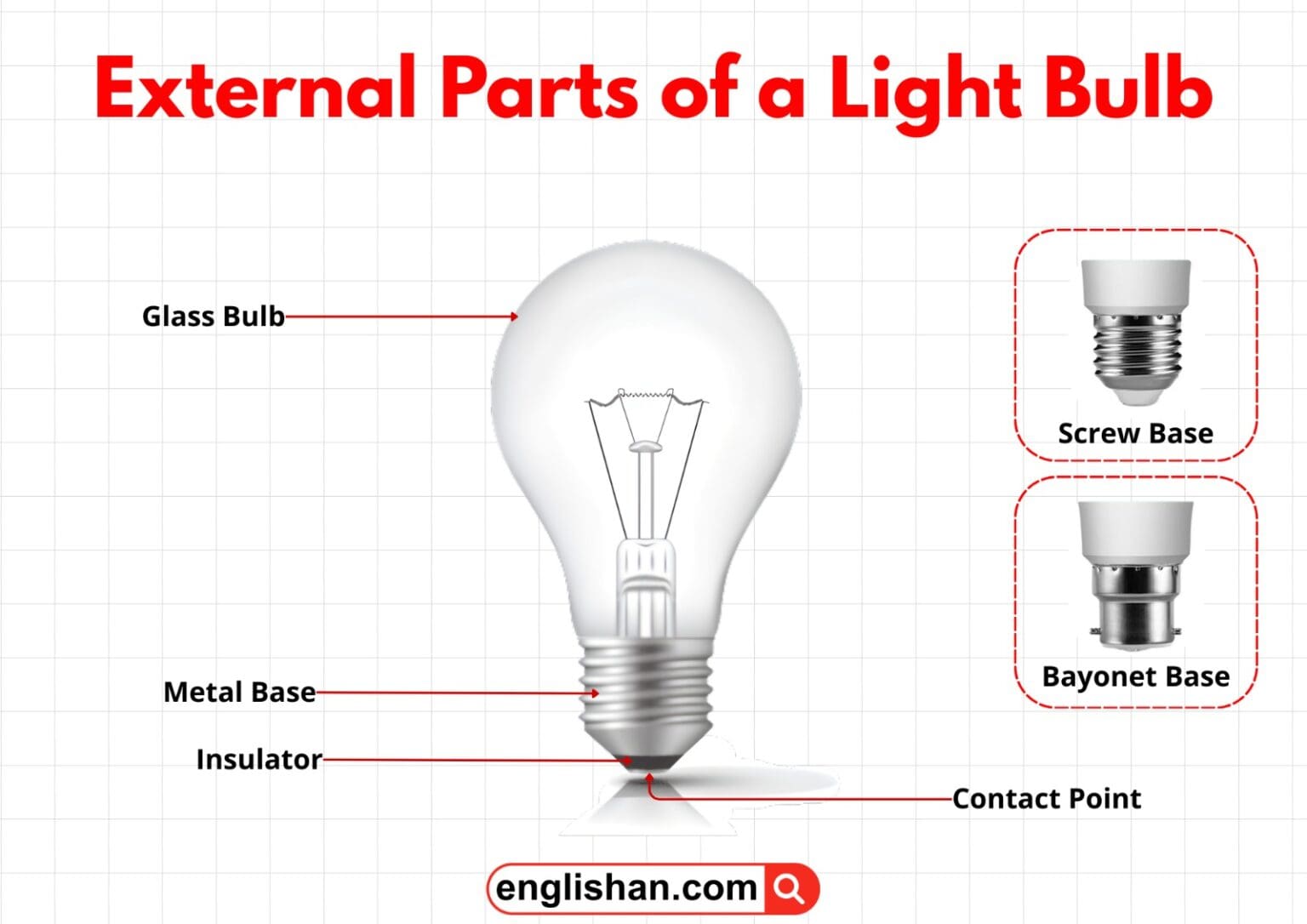 Parts of a Light Bulb Explained with Label Diagram