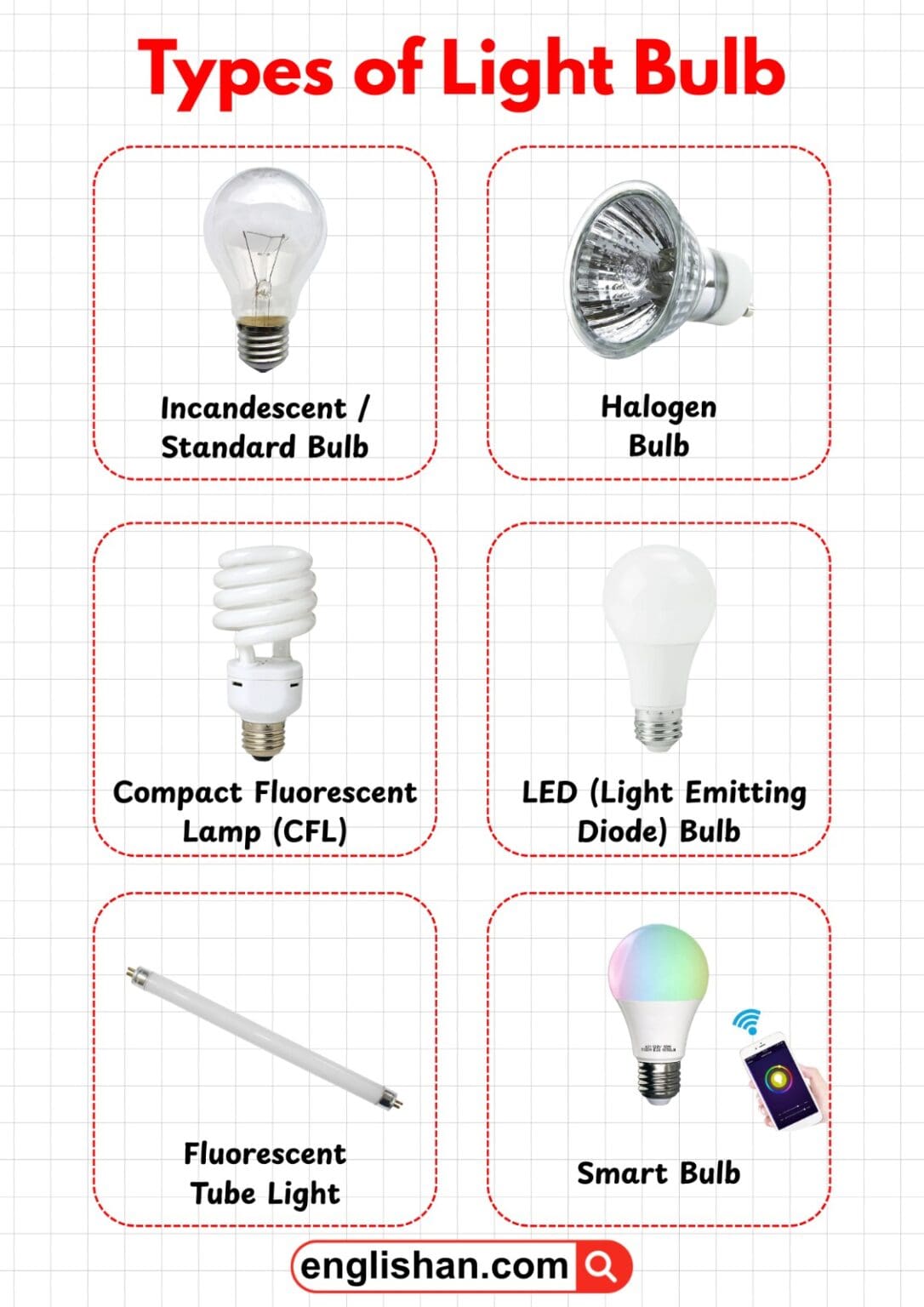 Parts of a Light Bulb Explained with Label Diagram