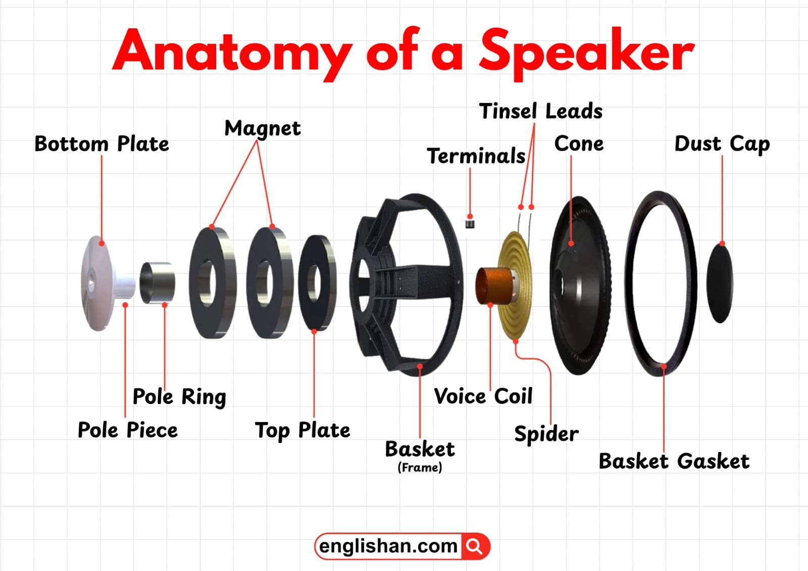 Parts Of Speaker Complete Guide With Labeled Diagram