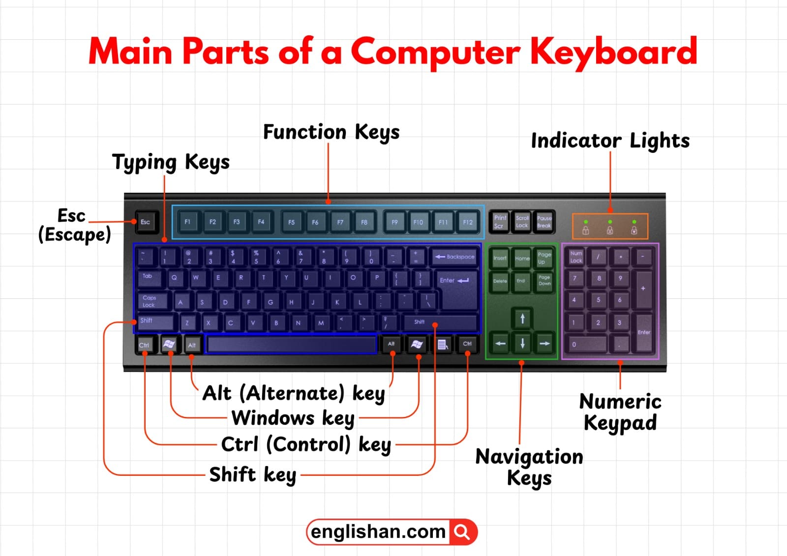 Parts of a Keyboard: Complete Guide with Functions and Diagram
