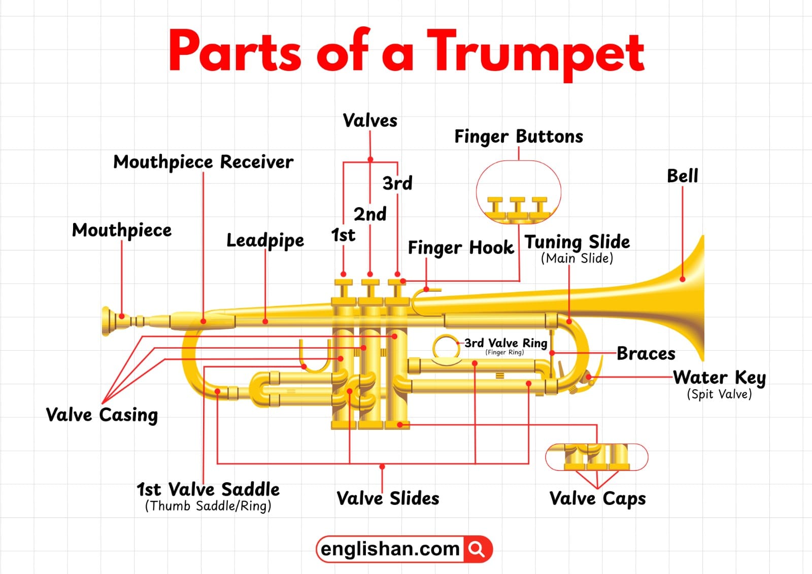 Labeled diagram showing all parts of a trumpet