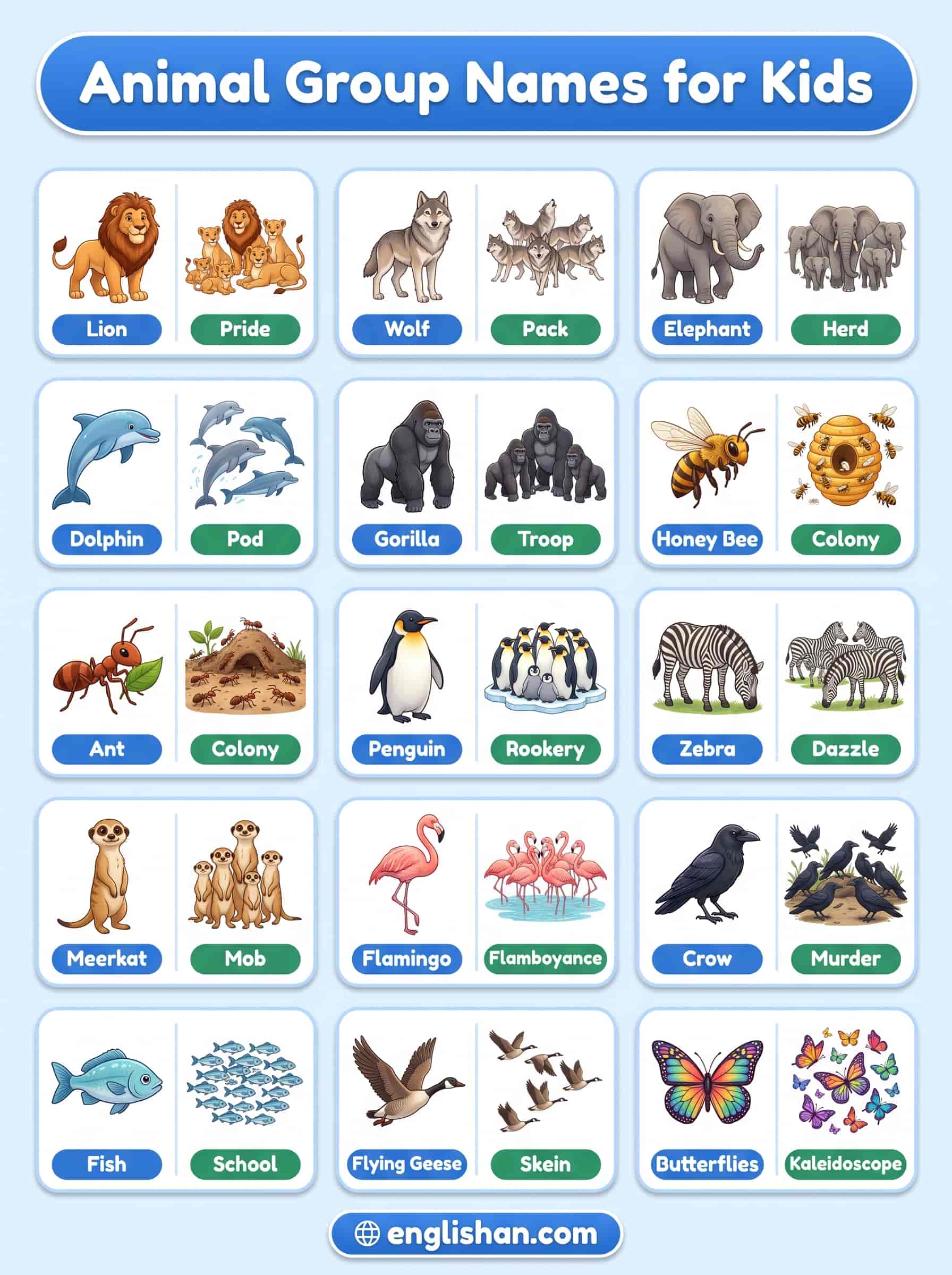 Animal group names for kids with pictures featuring lions, wolves, elephants, fish, sheep, and bees