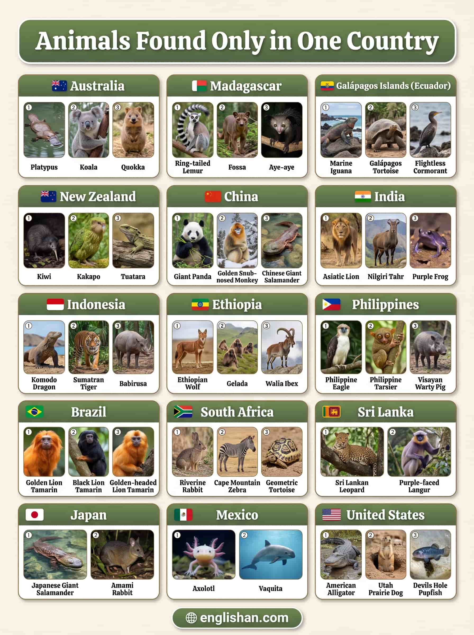 Animals found only in one country including a giant panda, kiwi, lemur, and Komodo dragon.