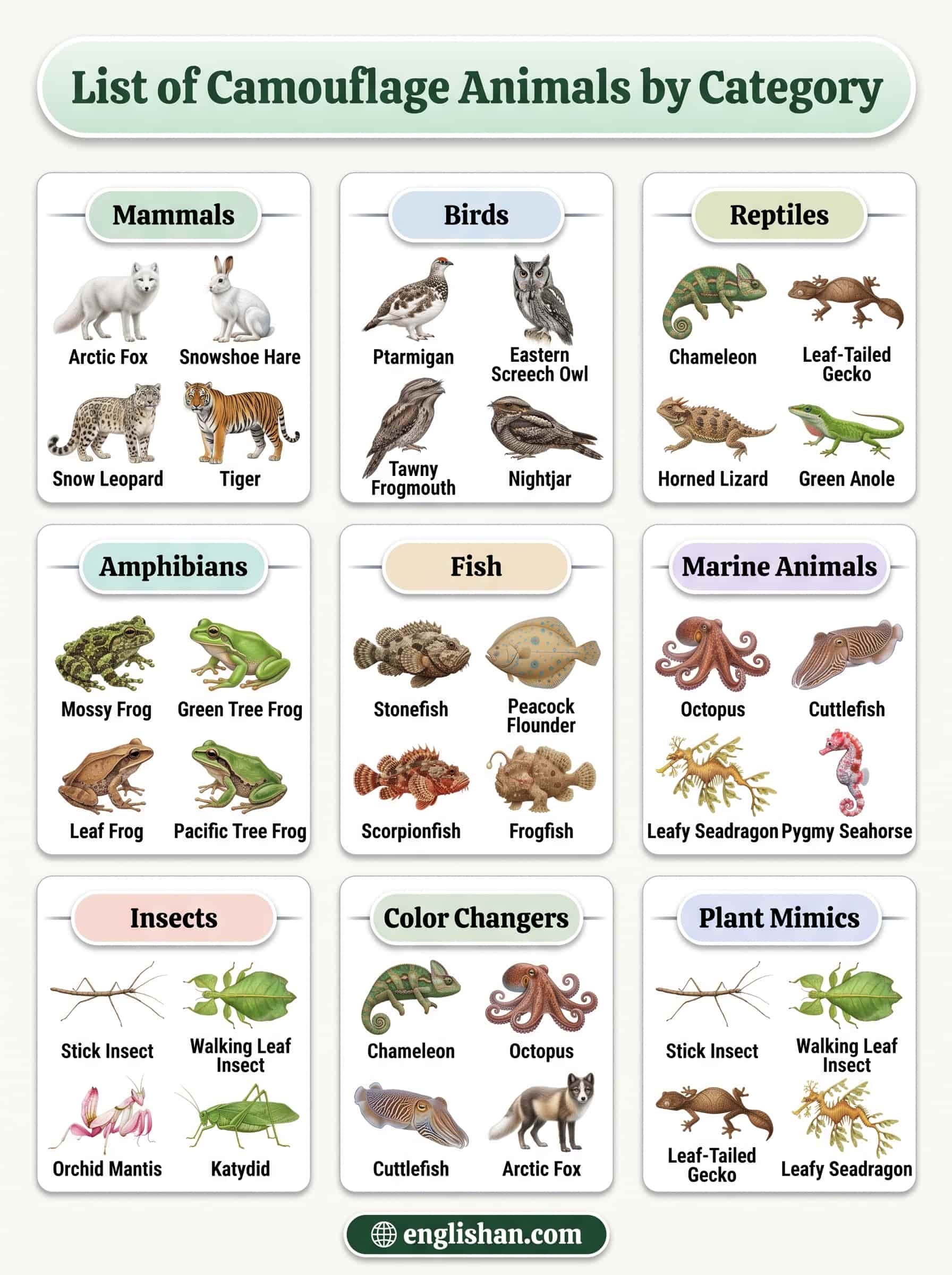 List of camouflage animals names by category featuring species grouped by their natural habitats and camouflage types.