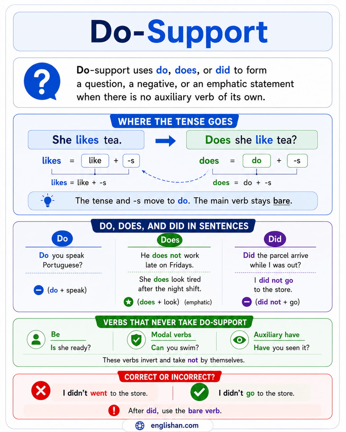 Do-support in English grammar for ESL learners: how do, does, and did form questions and negatives, with the tense moving onto do and the main verb staying bare.