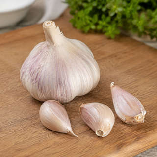 Garlic