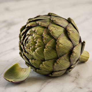 Globe Artichoke