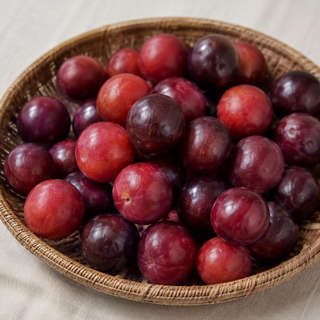 Governors Plum