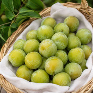 Greengage