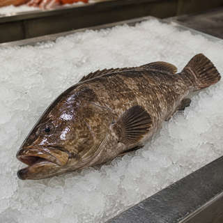 Grouper