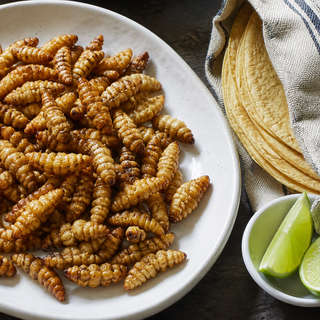 Gusanos De Maguey