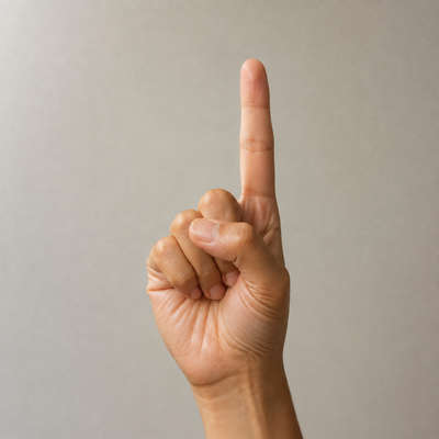 Index Finger