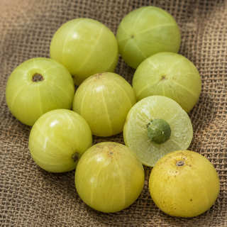 Indian Gooseberry