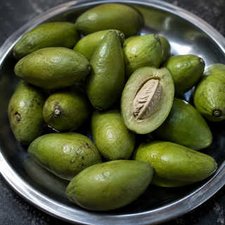 Indian Olive