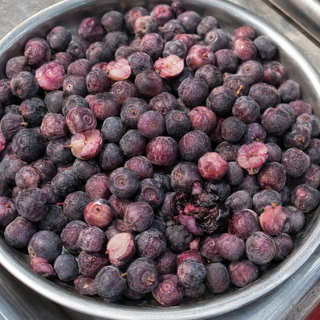 Indian Sherbet Berry