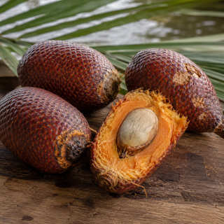 Ita Palm