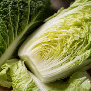 Napa Cabbage