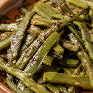 Nopal