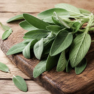 Sage
